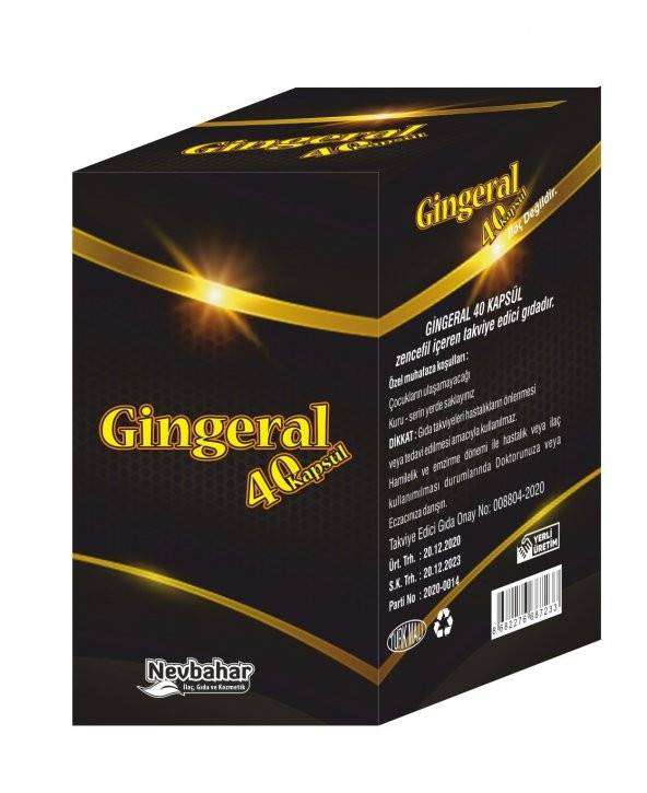 Gingeral 40 Kapsül