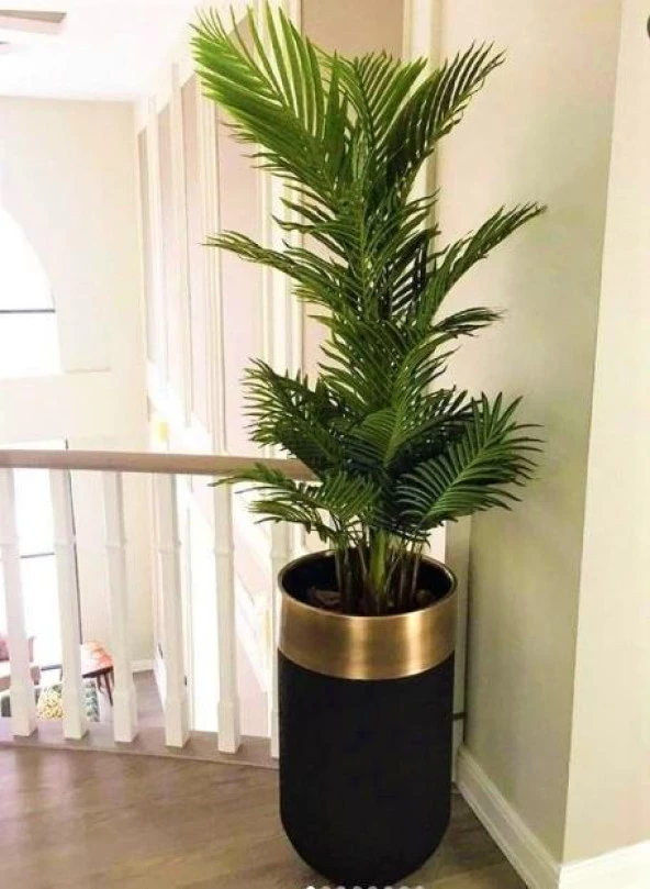 DEKORATİF ESKİTME BÜYÜK SAKSI , Darbuka Saksı ,70cm - 3