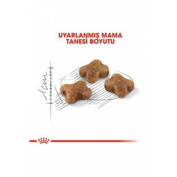 Kitten Kedi Kuru Maması 4 kg - 3