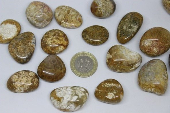 Tibet Akik Taşı Fosilli - Resim 2