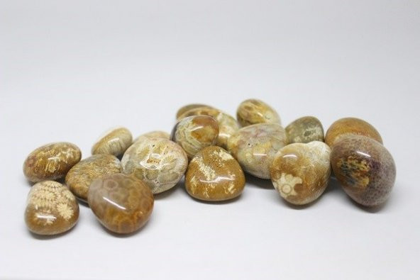 Tibet Akik Taşı Fosilli - Resim 5