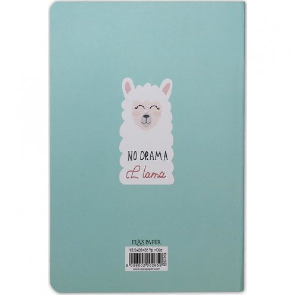 Ela's Paper Lama Çizgisiz Defter Mavi - 2