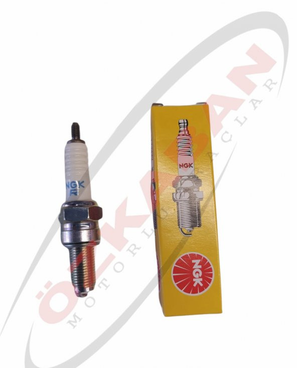 SUZUKI INAZUMA 250 - 250F BUJİ NGK