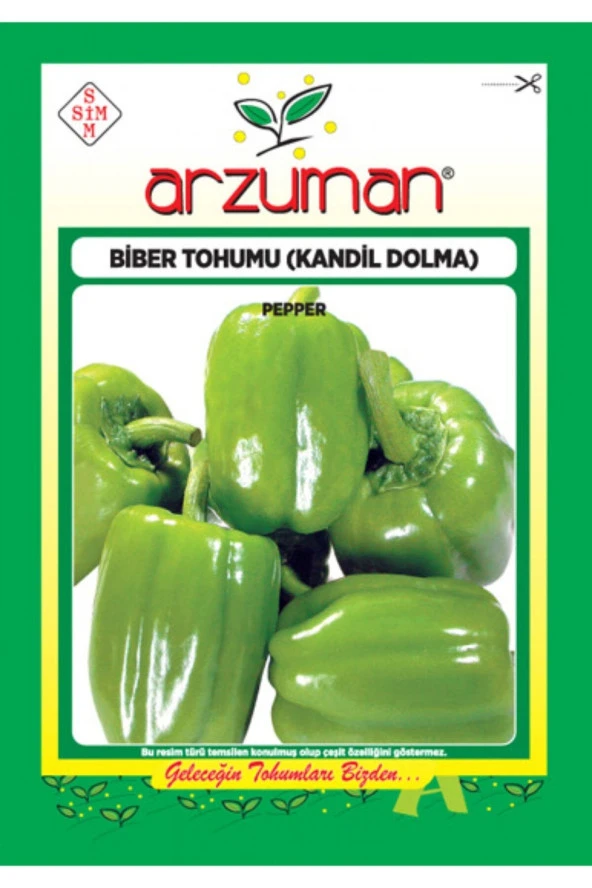 Biber tohumu (kandil dolma)