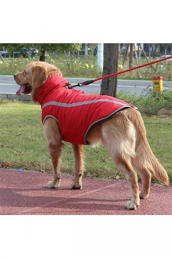 Pasorax - Üstten Fermuarlı Köpek Ceketi - Kırmızı - 2