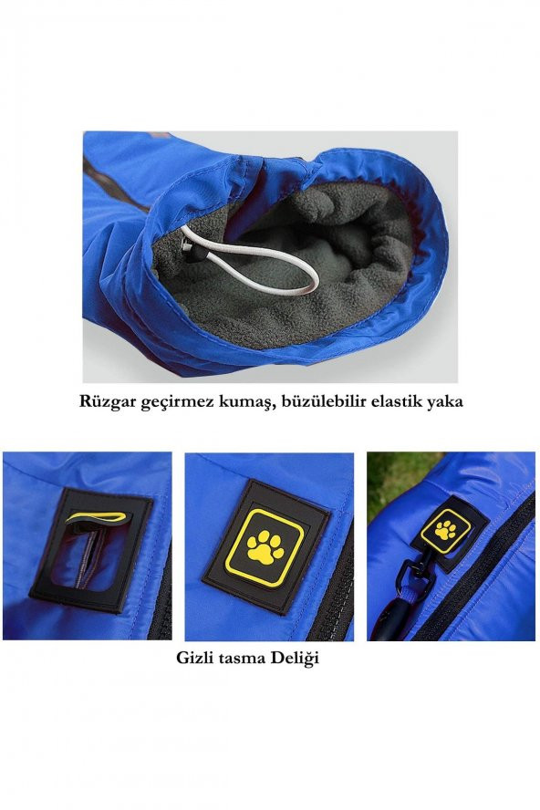 Pasorax - Üstten Fermuarlı Köpek Ceketi - Kırmızı - 3