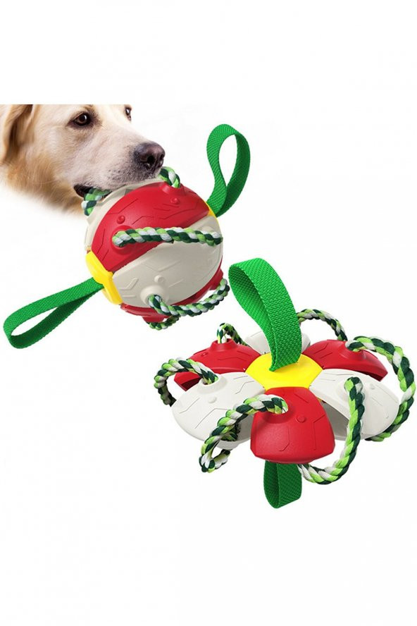 Dogger - Frizbi Top Interaktif Köpek Oyuncağı - Kırmızı