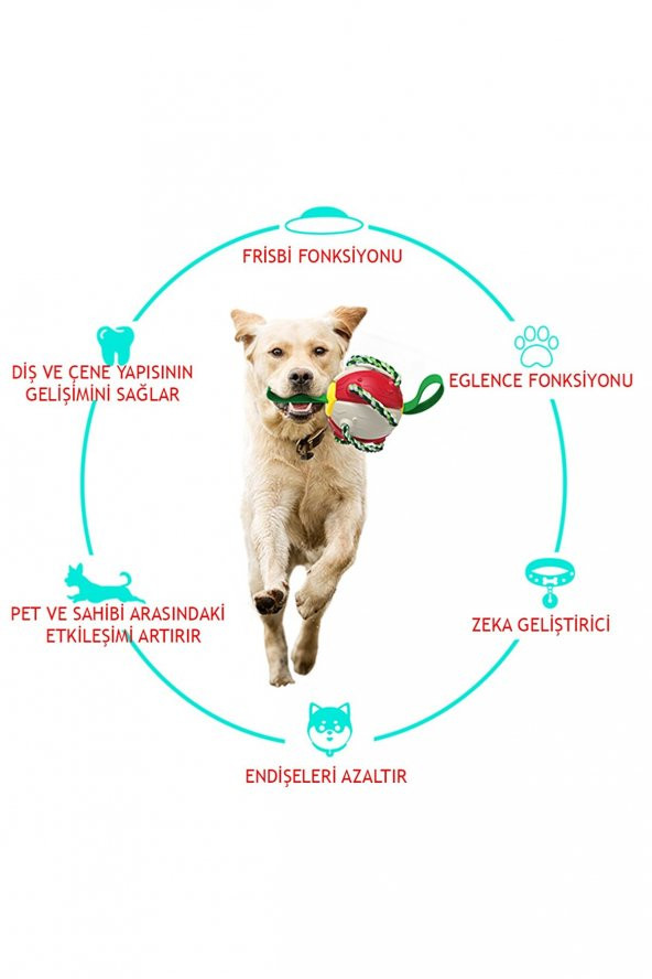 Dogger - Frizbi Top Interaktif Köpek Oyuncağı - Beyaz - 5