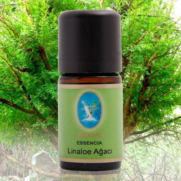 Defne Nuka Essencia Linaloe Ağacı Yağı 5 ML