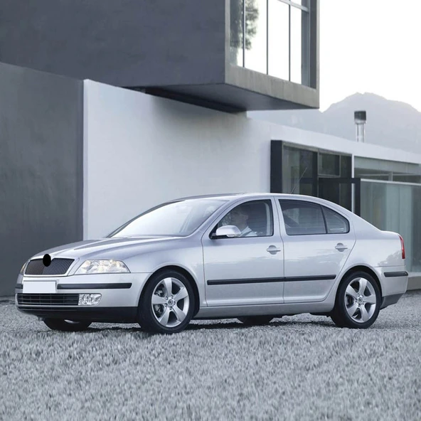 Skoda Octavia 2 05-09 Yedek Lastik Stepne Sabitleme Aparatı 1K0803899D - 2