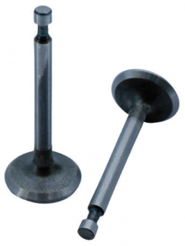 Benzinli Jeneratör-Çapa-Su Motoru Gx340-Gx390 Subap Emme Egzoz Tk ürün görseli 1