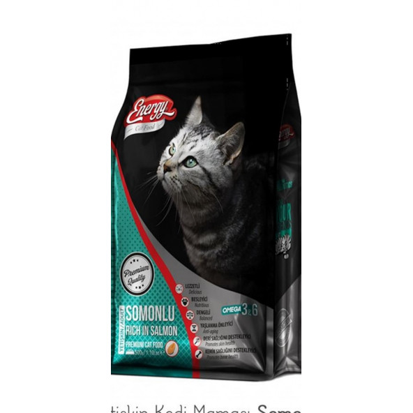 Pet Food Energy Cat Food Energy Somonlu Yetişkin Kedi Maması - 500 G