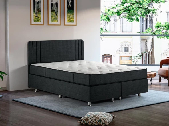 Niron Scarface 90x190 cm Tek Kişilik Full Ortopedik Sert Yatak - Resim 7