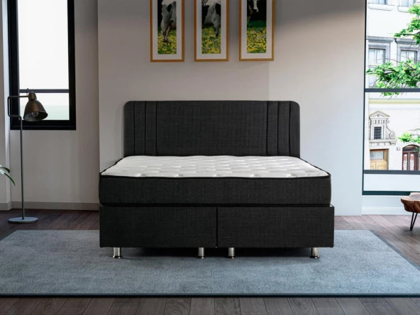 Niron Scarface 90x190 cm Tek Kişilik Full Ortopedik Sert Yatak - Resim 8