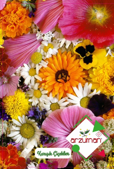 KARIŞIK ÇİÇEKLER TOHUMU ( 50 ADET ) ürün görseli 1