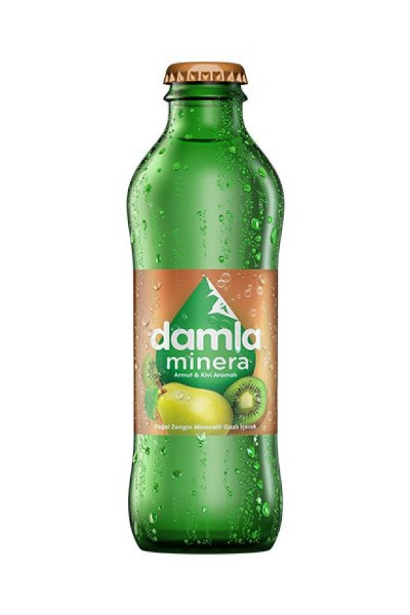 DAMLA ARMUT KİVİ 200 ML