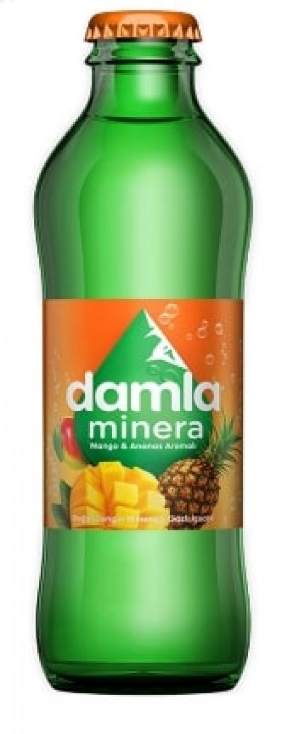 DAMLA MANGO ANANAS MİNERA 200 ML