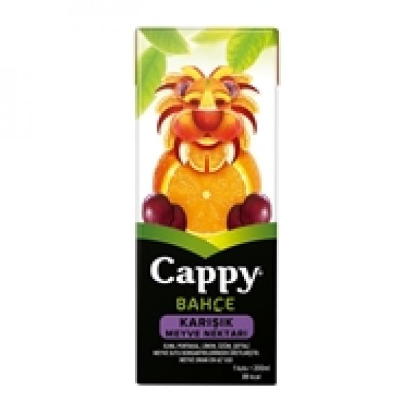 CAPPY Mini Karışık  MEYVE SUYU 200 ml