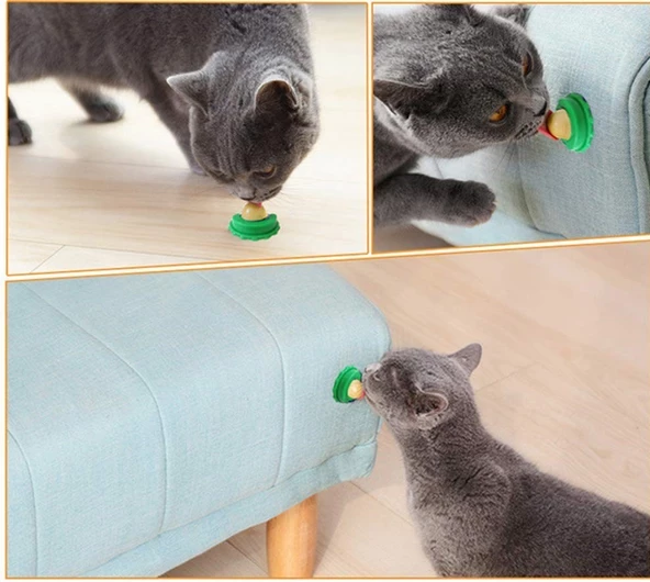 Catnipli Şeker Kedi Yalama Enerji Topu Tavuklu - 3