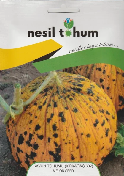 NESİL KAVUN TOHUMU (KIRKAĞAÇ 637) 5G ürün görseli 1