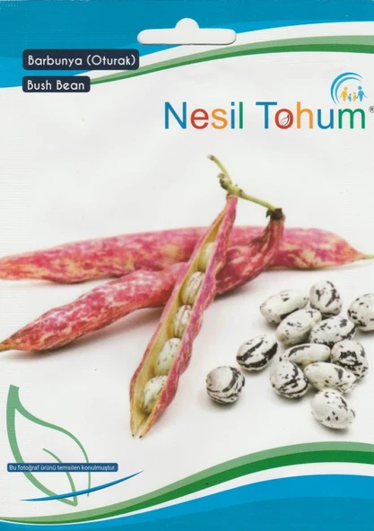 NESİL OTURAK BARBUNYA TOHUMU 25 GRAM ürün görseli 1
