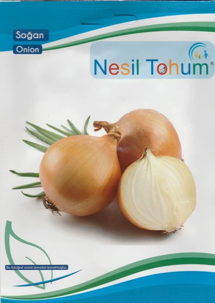 NESİL SOĞAN TOHUMU (GENCE) 5 G