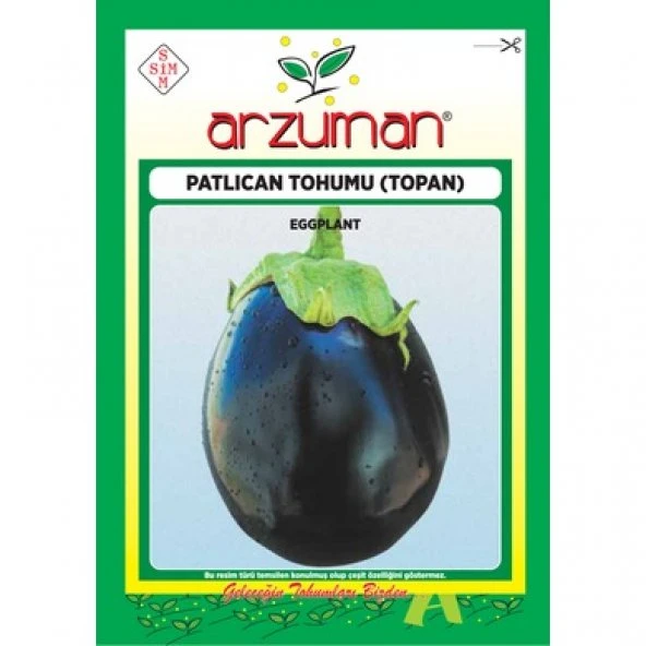ARZUMAN TOPAN PATLICAN TOHUMU 10 GR - Resim 2