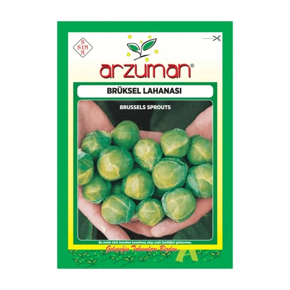 ARZUMAN  BRÜKSEL LAHANA TOHUMU (200 ADET) ürün görseli 1