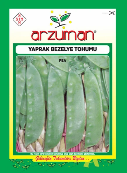 ARZUMAN BEZELYE (YAPRAK) TOHUMU 25 GR ürün görseli 1