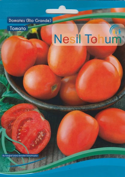 NESİL RİO GRANDE DOMATES TOHUMU 3 GR ürün görseli 1
