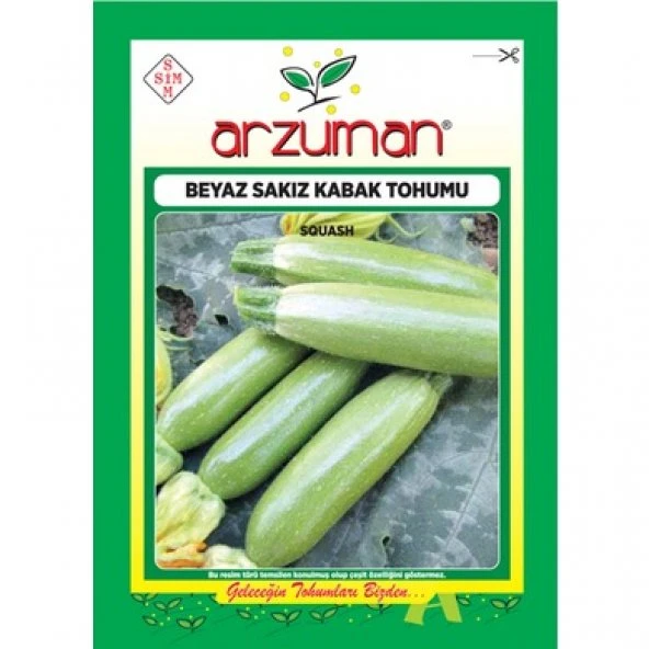 ARZUMAN BEYAZ KABAK ( BEYAZ SAKIZ ) TOHUMU 10 GR ürün görseli 1