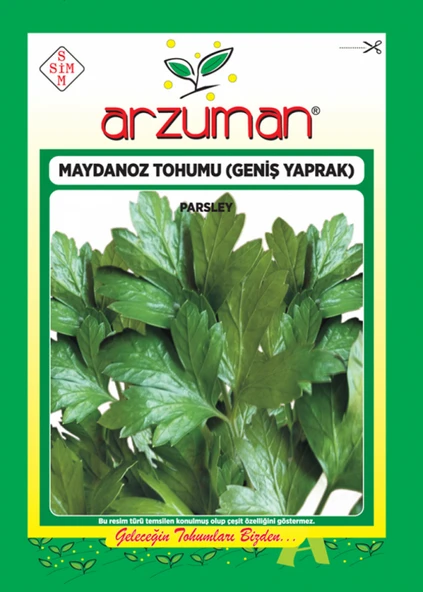 ARZUMAN  D-GİANT İTALYANO MAYDANOZ 25 GR (GENİŞ YAPRAK ) - Resim 2