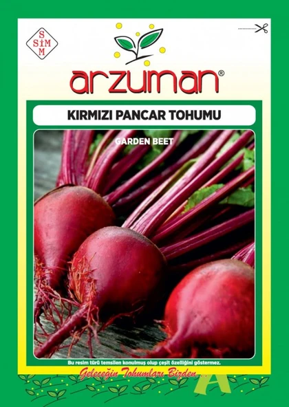 ARZUMAN KIRMIZI PANCAR TOHUMU 10 GR - Resim 2