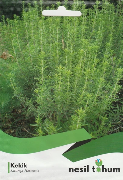 NESİL KEKİK TOHUMU (200 ADET) ürün görseli 1