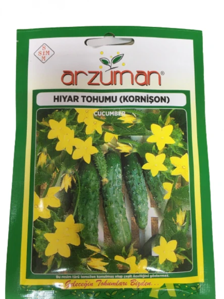 ARZUMAN KORNİŞON HIYAR (TURŞULUK ) 100 ADET - Resim 2