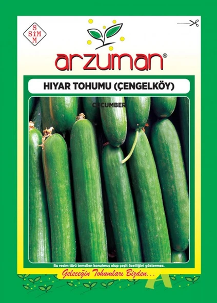 ARZUMAN  ÇENGELKÖY HIYAR TOHUMU 10 GR ürün görseli 1
