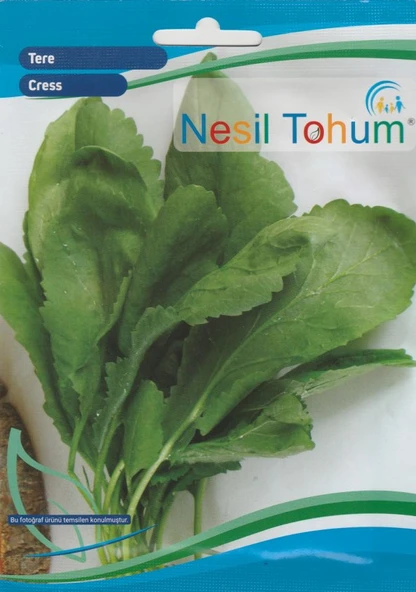 NESİL TERE (HELEN) TOHUMU 10 GRAM ürün görseli 1