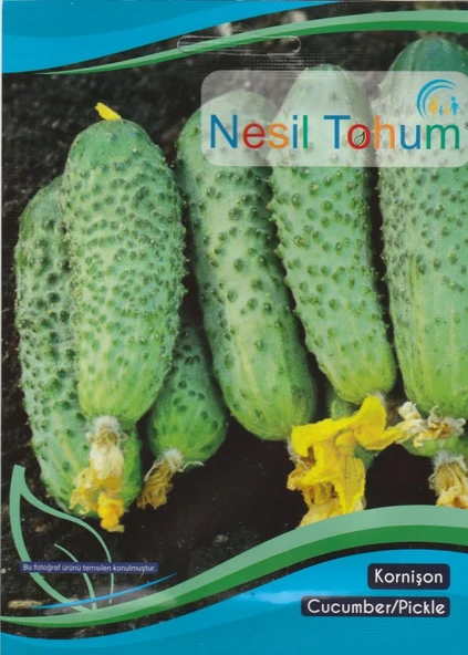 NESİL KORNİŞON HIYAR TOHUMU 100 ADET ürün görseli 1