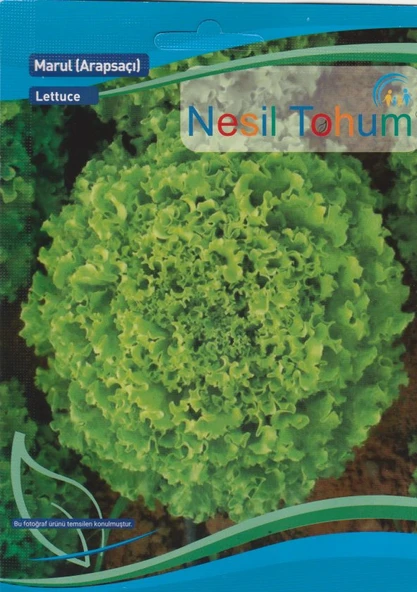 NESİL ARAPSAÇI KIVIRCIK MARUL TOHUMU 5 GRAM ürün görseli 1