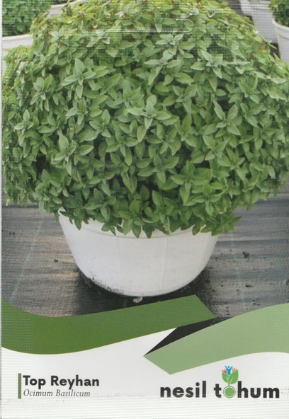 NESİL TOP FESLEĞEN ( REYHAN ) TOHUMU ( 100 ADET) ürün görseli 1