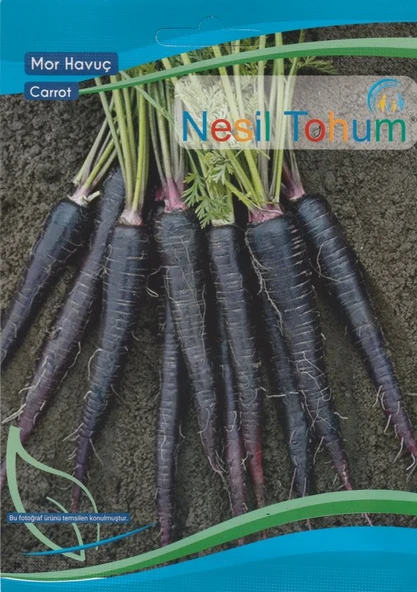 NESİL MOR HAVUÇ TOHUMU 5 GRAM ürün görseli 1