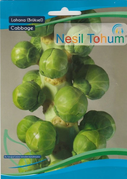 NESİL BRÜKSEL LAHANA (200 ADET) ürün görseli 1