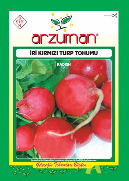 ARZUMAN KIRMIZI TURP İRİ - 10 GR ürün görseli 1
