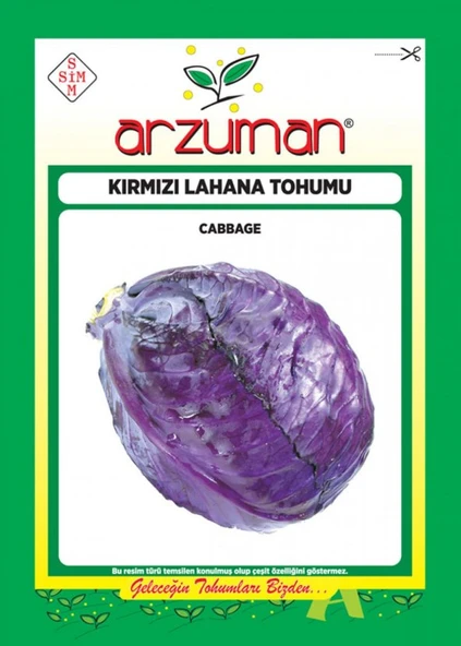 ARZUMAN KIRMIZI LAHANA TOHUMU 10 GR ürün görseli 1