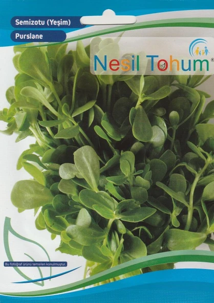 NESİL SEMİZOTU TOHUMU 5 GR ürün görseli 1