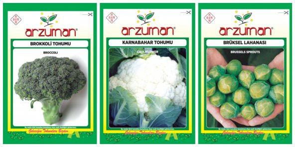 Arzuman Brüksel Lahanası + Brokkoli + Karnabahar Tohum