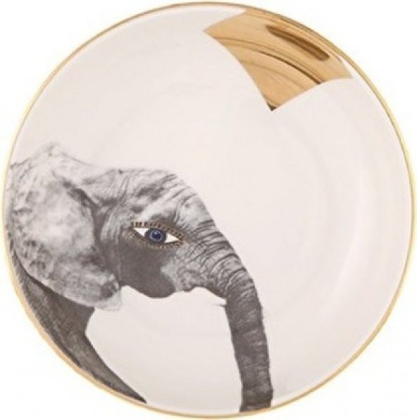 Porland Wild Life Antik Beyaz Kase Takımı 4lü 17 cm - 5