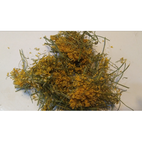 SARI KANTARON OTU 100 GR