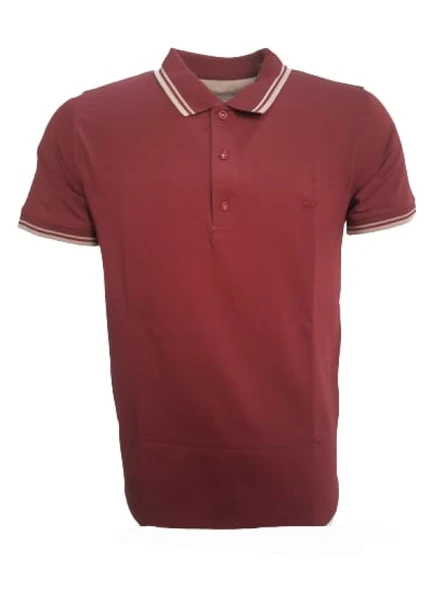 Rey Polo Erkek Basic Polo Yaka Kısa Kol T-shirt R01201 - Resim 5