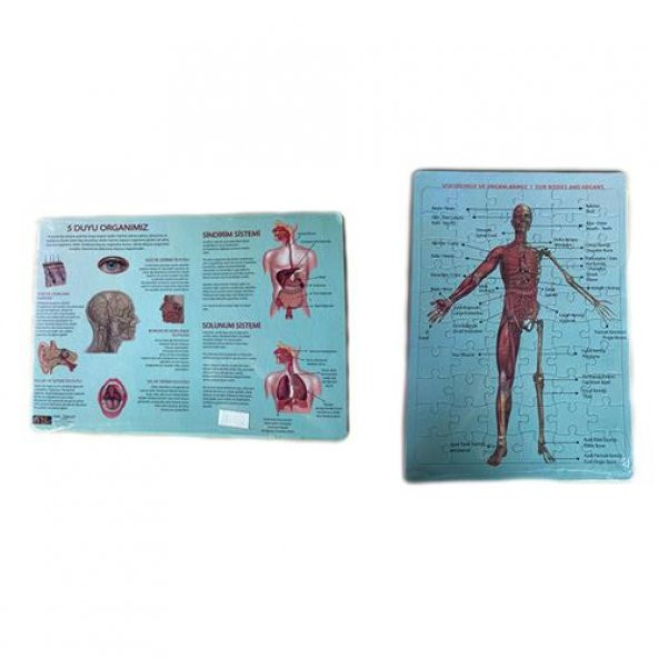 2Li Puzzle Set Türkiye Haritası 50 parça ve İnsan Anatomisi 60 parça - 6